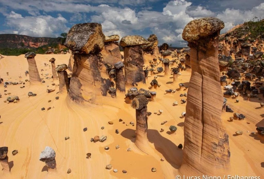 Formações preservadas se estendem por uma ampla área de areia clara — Foto: Divulgação/Lucas Ninno Formações preservadas se estendem por uma ampla área de areia clara — Foto: Divulgação/Lucas Ninno
