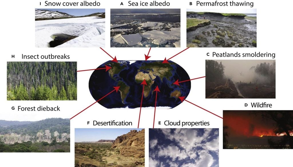 Fonte des glaces, incendies, dégel du pergélisol ou méga-feux : ces « boucles de rétroaction positives » renforcent le changement climatique au lieu de le freiner. (c) Siencepost