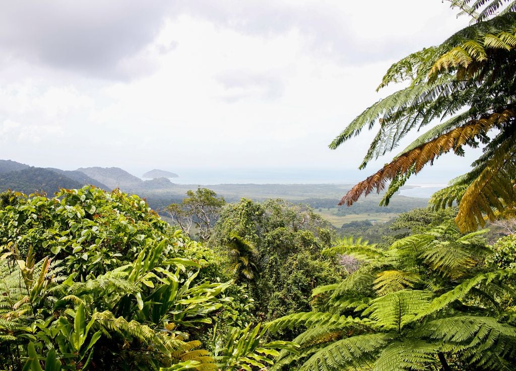 Les régions tropicales pourraient se réchauffer deux fois plus vite que les océans, mais les scientifiques manquent encore d'assez de données.