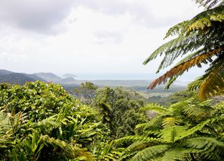 Changement climatique : selon une étude, ces régions pourraient se réchauffer deux fois plus vite que les océans