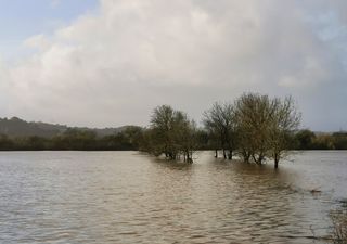 Charlotte bringt am Samstag neue Sturmböen - bis 17°C warm!