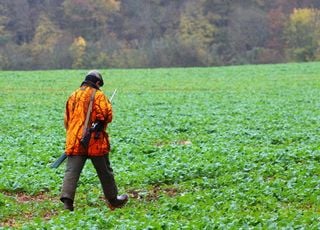 Chasse en France : bientôt interdite le dimanche ? 