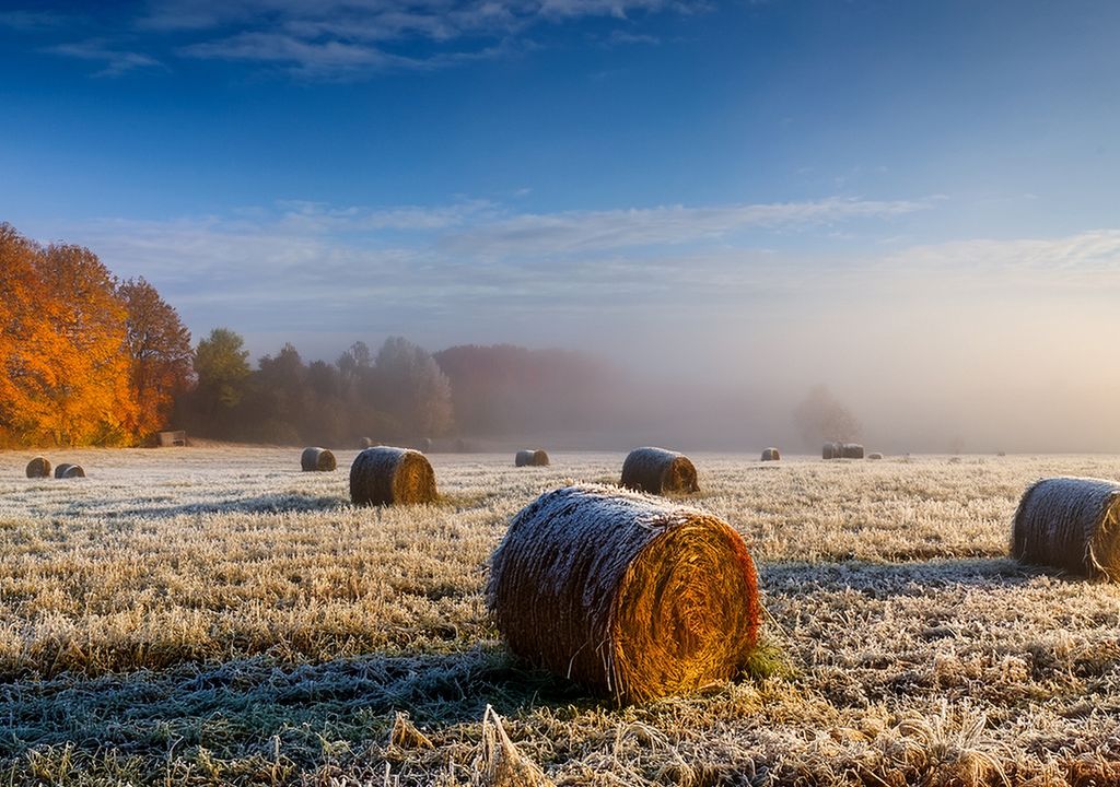 Heladas campo