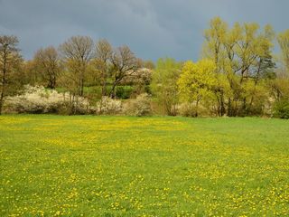 Che tempo farà ad aprile?
