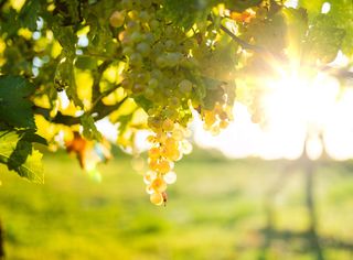 Che tempo farà ad ottobre?