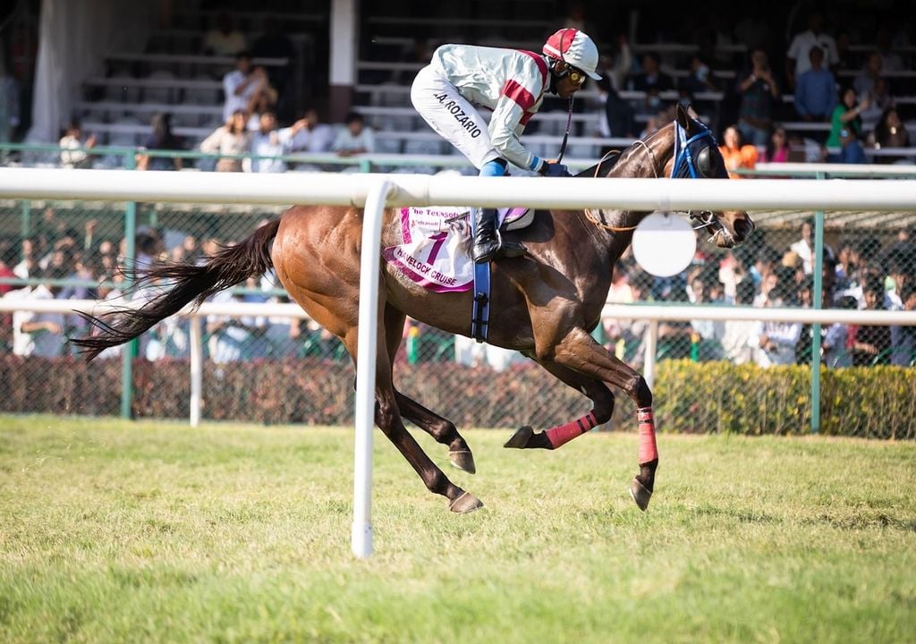 The Cheltenham Festival, a four-day event featuring world-class horse racing, kicks off on Tuesday, with challenging weather conditions set to add an extra layer of excitement to the competition.