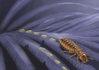 Chewing lice eggs from the Cretaceous period provide rare fossil example of parasitic behaviours