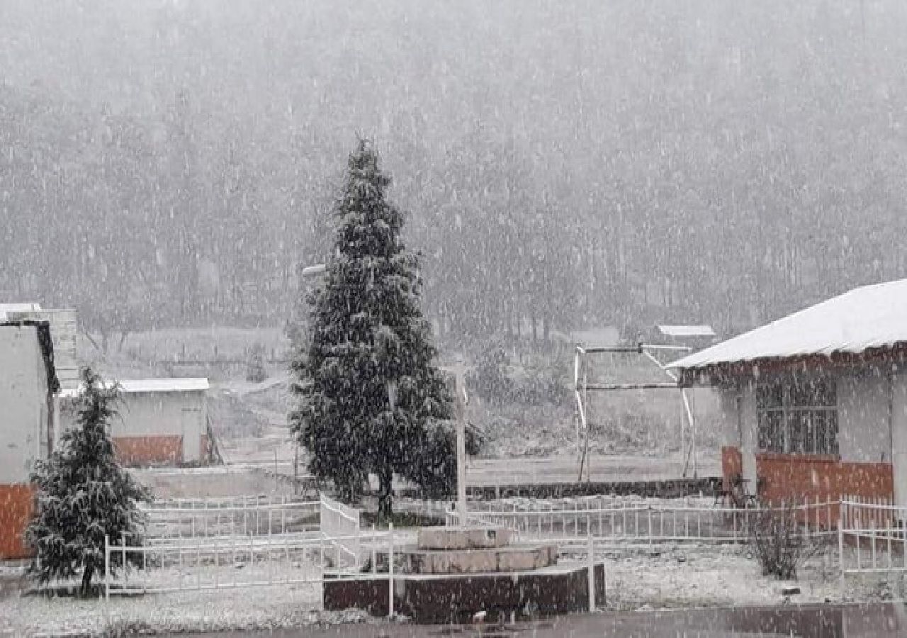 Chihuahua se pinta de blanco por chubascos de nieve