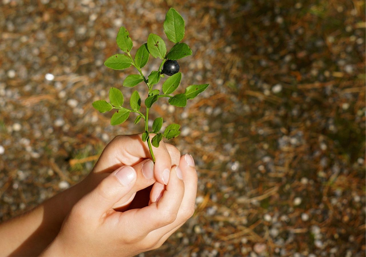 Childhood maltreatment advances ageing and hinders social development, researchers say