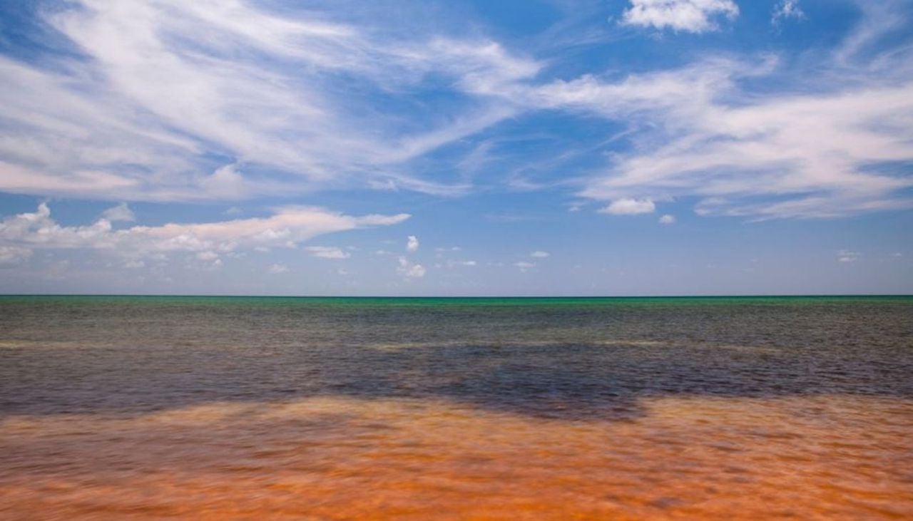 Las autoridades señalaron que las variaciones en las condiciones oceanográficas podrían favorecer, en determinados territorios, la aparición, persistencia o expansión de floraciones algales nocivas. Créditos de la imagen: (CR)2.