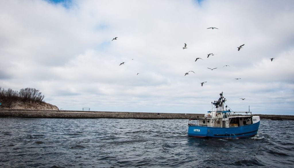 En la Región de Los Lagos, donde la pesca y la acuicultura son actividades relevantes, las autoridades llevan meses coordinando acciones preventivas.
