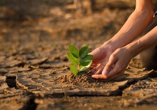 Chile califica con "alto desempeño" en acciones sobre el cambio climático