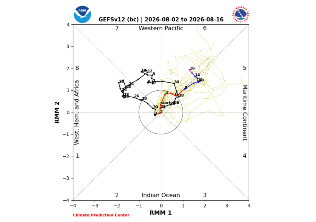 La mayoría de los modelos predicen que se desarrollará una señal de MJO en el Pacífico occidental (Fase 6) durante la Semana del 3 al 9 de agosto, aunque no coinciden en si la señal continuará propagándose o se debilitará durante la Semana del 10 al 16 de agosto. Créditos: NOAA Climate Prediction Center (CPC) / GEFSv12 Ensemble.