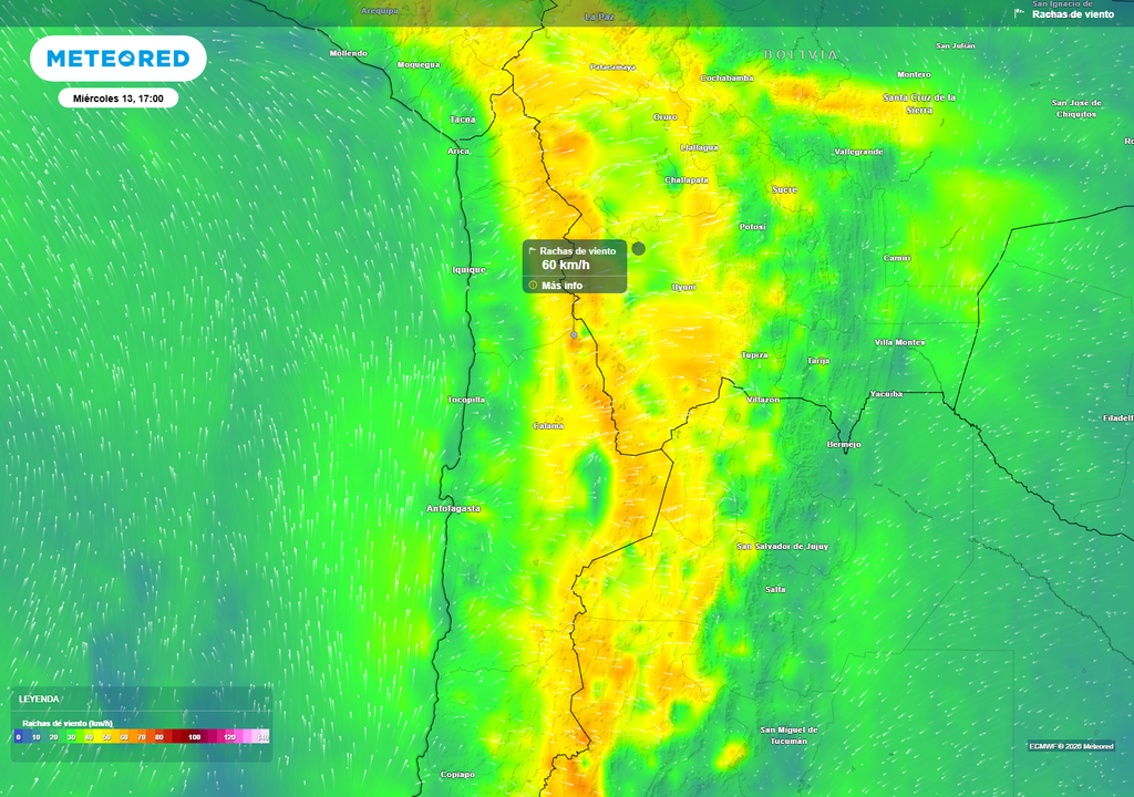 ráfagas de viento. Las tardes seguirán ventosas en la cordillera del norte grande, donde las rachas podrían superar los 60 km/h durante los próximos días, especialmente en sectores altos y pasos fronterizos.