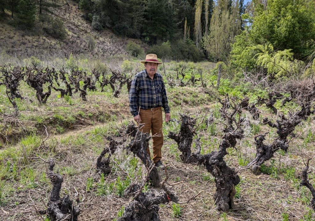 Don Héctor Don Héctor