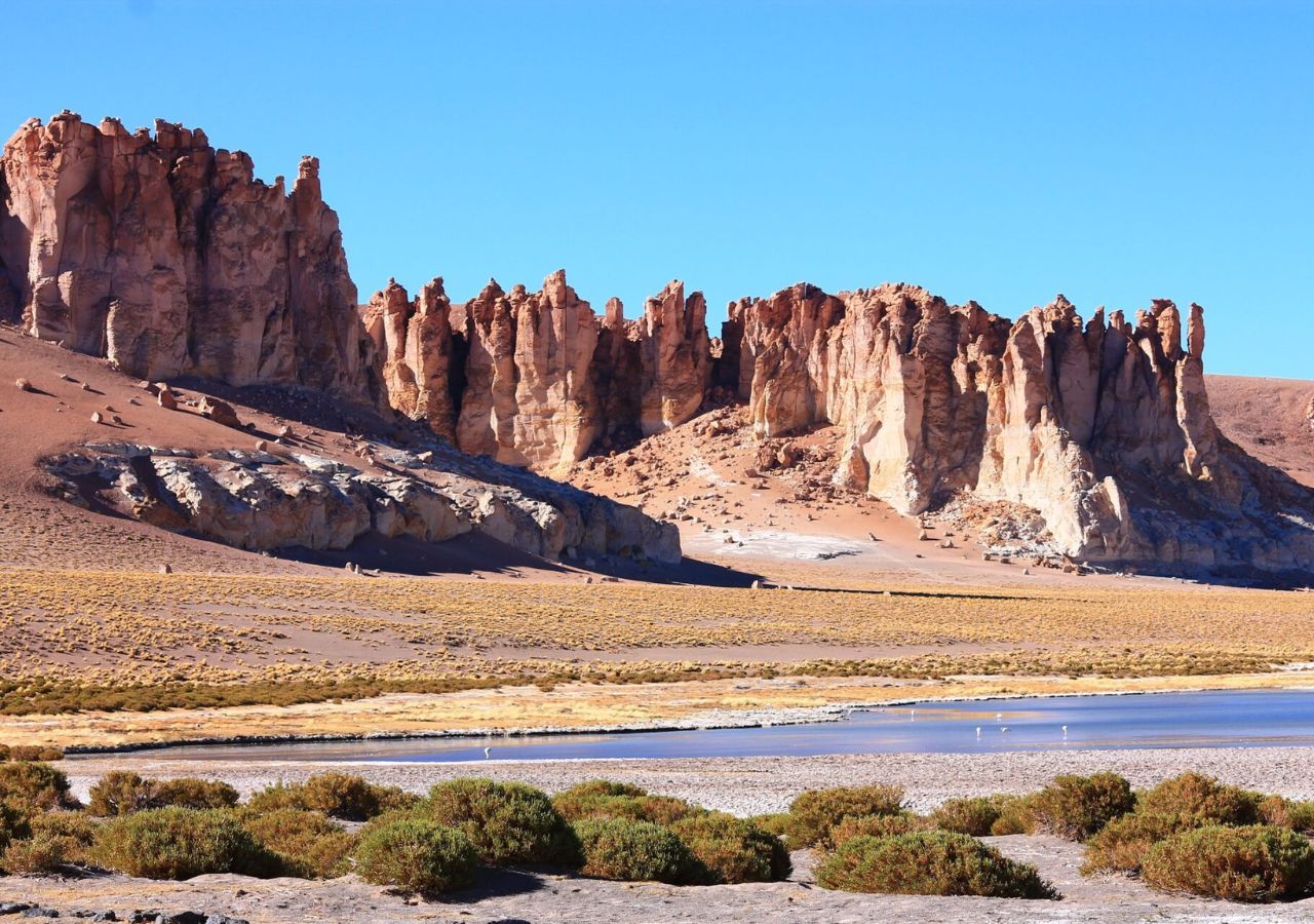 Chile lanza su mayor iniciativa ambiental con el Servicio de Biodiversidad