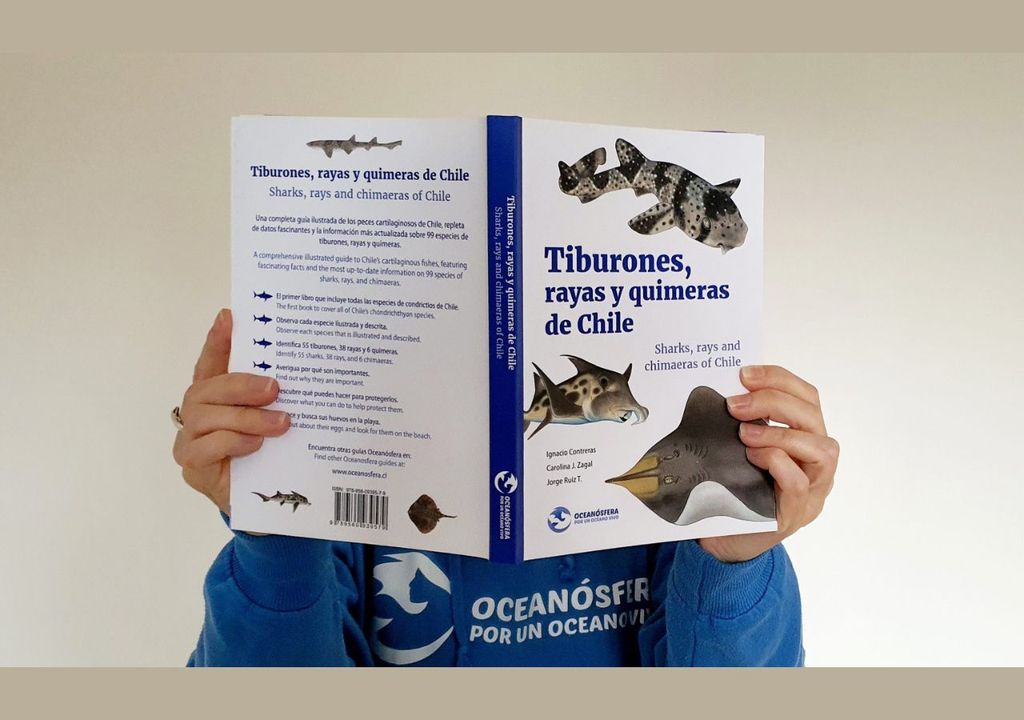 Libro "Tiburones, rayas y quimeras de Chile"
