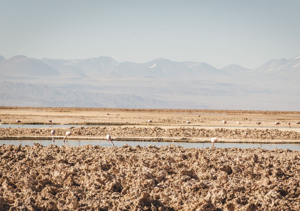 Salar de Atacama
