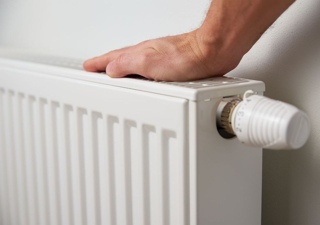 Según el CEGA, esta energía se puede usar para calefaccionar hogares, temperar invernaderos, secar madera o incluso en pisciculturas.