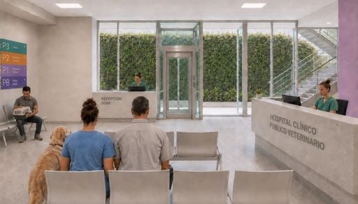 Chile construir&aacute; su primer hospital veterinario p&uacute;blico: qui&eacute;nes podr&aacute;n acceder y d&oacute;nde estar&aacute;