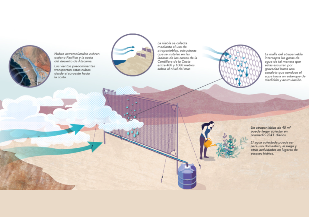 Explicación del proyecto.
