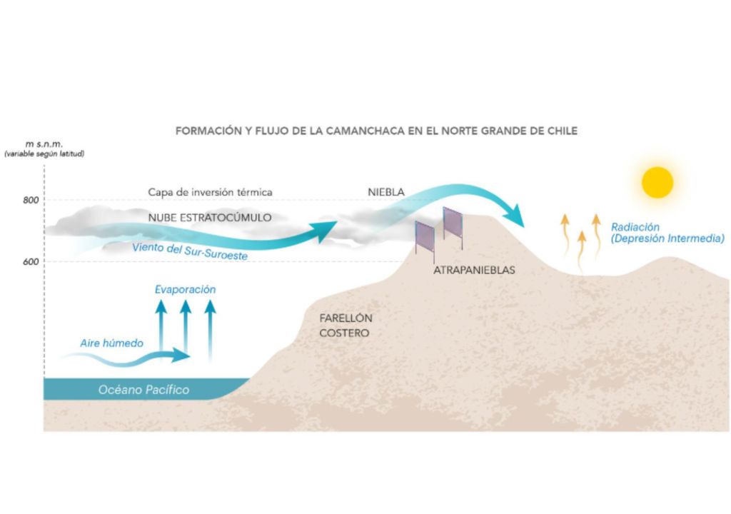 formación y flujo de camanchaca.