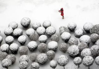 China meldet heftige Schneefälle, vor allem in Shandong, wo eine Schneehöhe von einem halben Meter gemeldet wurde!