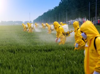 Gesteigertes Selbstbewustsein: China und die Welternährungsorganisation FAO! 