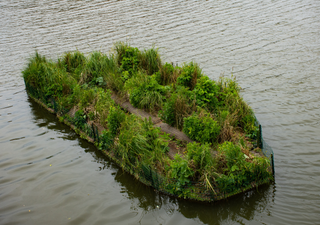 Chinampas: el ejemplo de agricultura sostenible que ha perdurado durante siglos