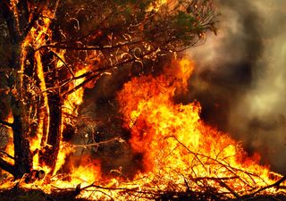 Chipre enfrenta o incêndio mais destrutivo da sua história