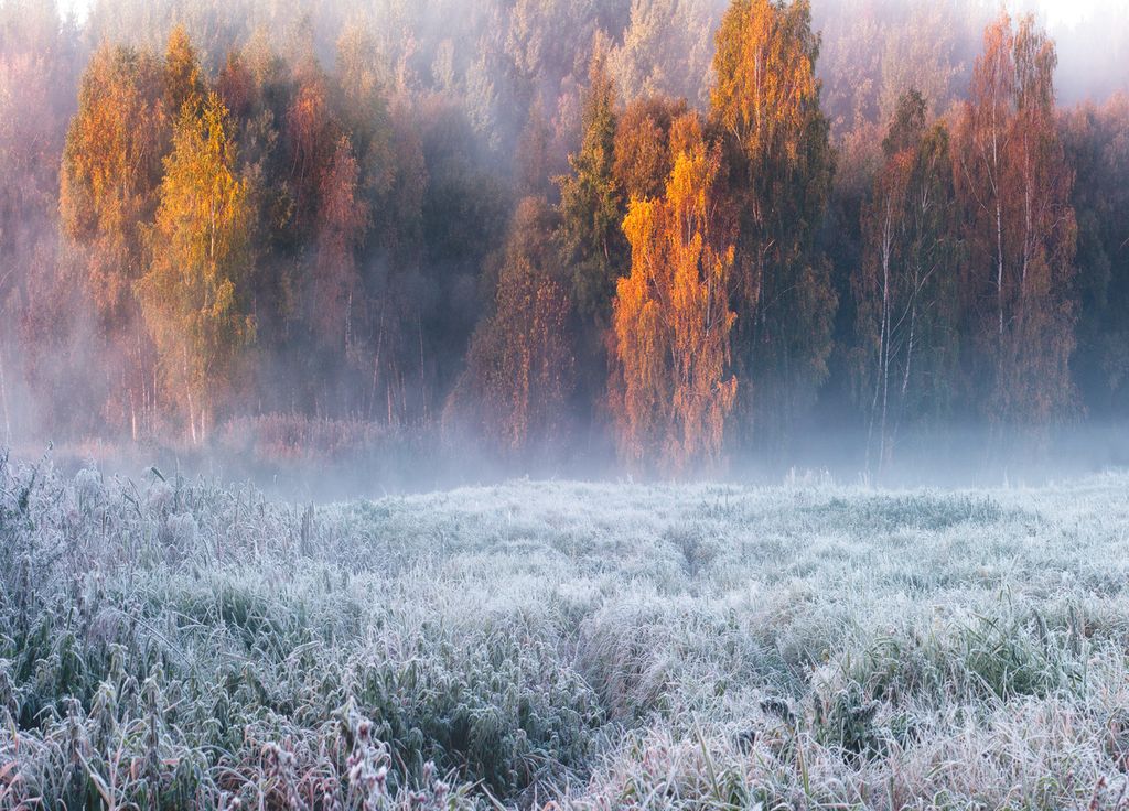 Les gelées blanches vont faire le retour avec des dépôts de givre classiquement observés en automne.