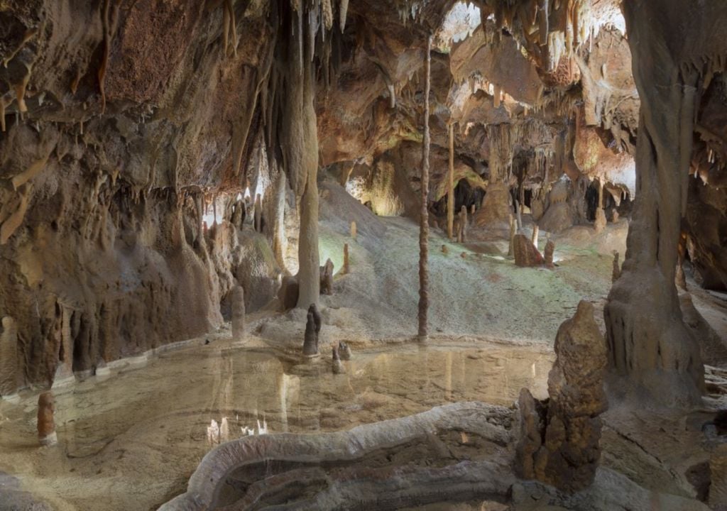 Um programa diferente. Foto: CM Porto de Mós