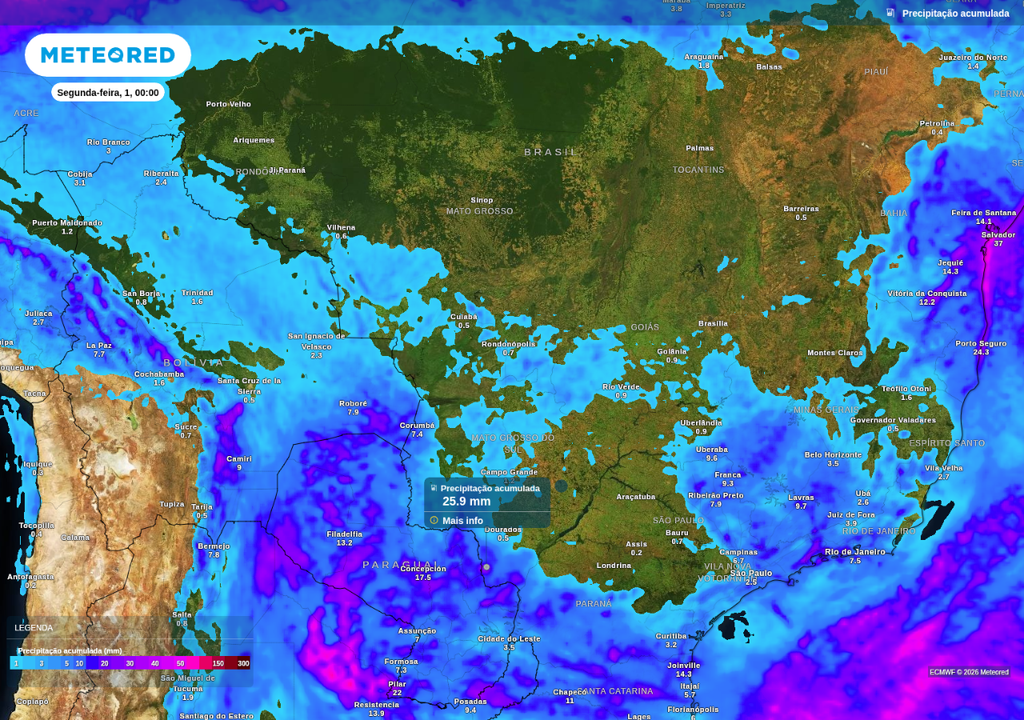 Previsão de chuva acumulada até o final de domingo (1), segundo o ECMWF.