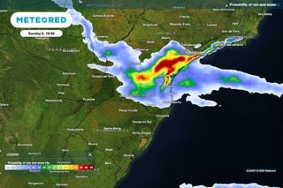 Chuva alcan&ccedil;a 128.933 hectares de cevada no Paran&aacute;; granizo exige vistorias