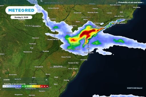 Chuva alcan&ccedil;a 128.933 hectares de cevada no Paran&aacute;; granizo exige vistorias