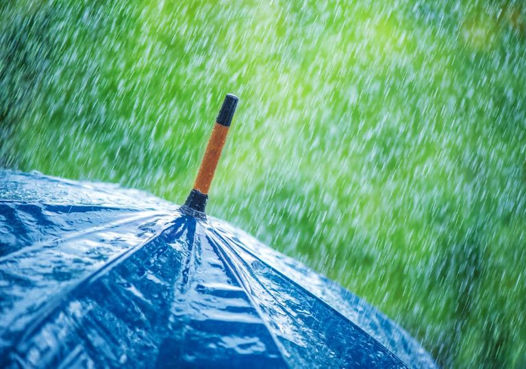 Chuva moderada guarda-chuva Chuva moderada guarda-chuva