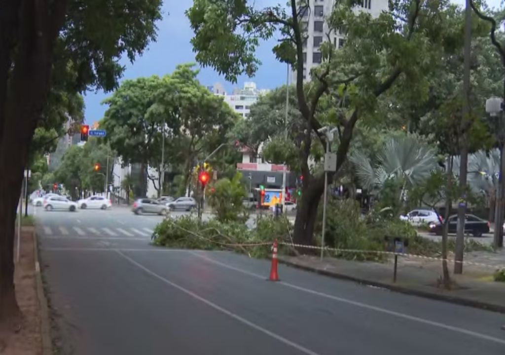 Quedas de árvores sobre carros e interdições de vias marcam o início de 2026 em BH.
