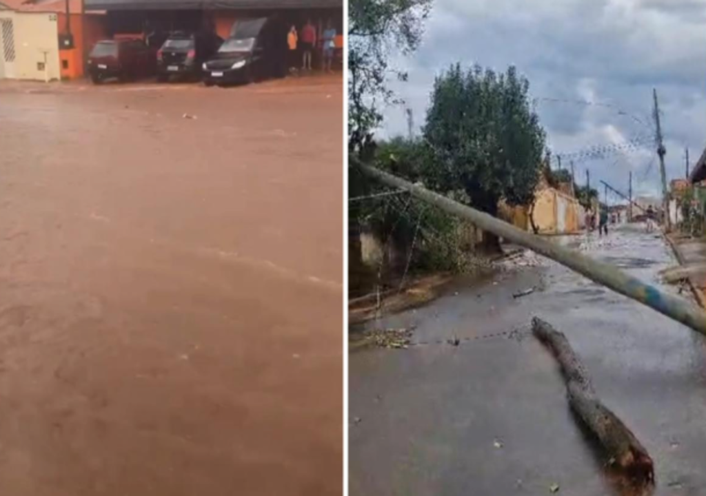 Temporal de 30 minutos causou queda de postes, árvores e danos a uma escola estadual no sul de Minas. Temporal de 30 minutos causou queda de postes, árvores e danos a uma escola estadual no sul de Minas.