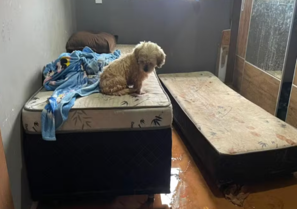 Relevo e bueiros entupidos causaram a queda de um muro em Areado, MG. Foto: Graziele Raposo / EPTV