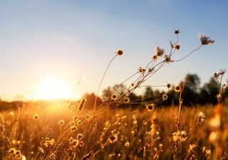 Chuvas irregulares e suas consequências para o agronegócio brasileiro