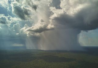 Chuvas na Amazônia: estudo desvenda o papel oculto da floresta em gerar seus próprios aerossóis para formar nuvens