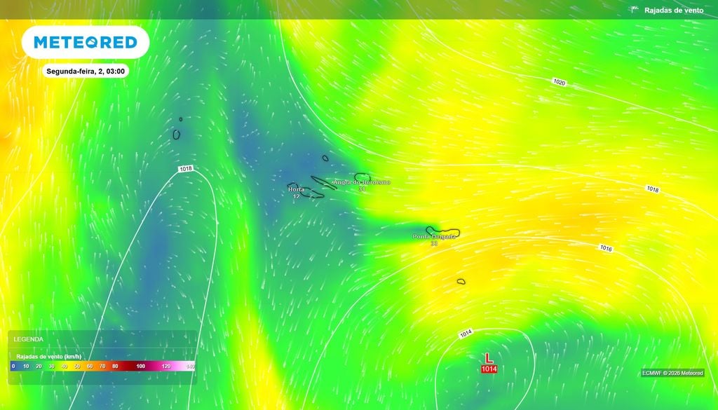 Rajadas de vento poderão aproximar-se dos 35 km/h em São Miguel O ECMWF prevê rajadas próximas dos 30 a 35 km/h em Ponta Delgada e de 30 km/h em Angra do Heroísmo, contrastando com valores próximos dos 10 a 15 km/h na Horta.