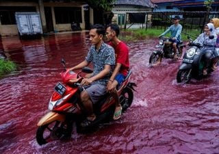 Red water invades Indonesian village