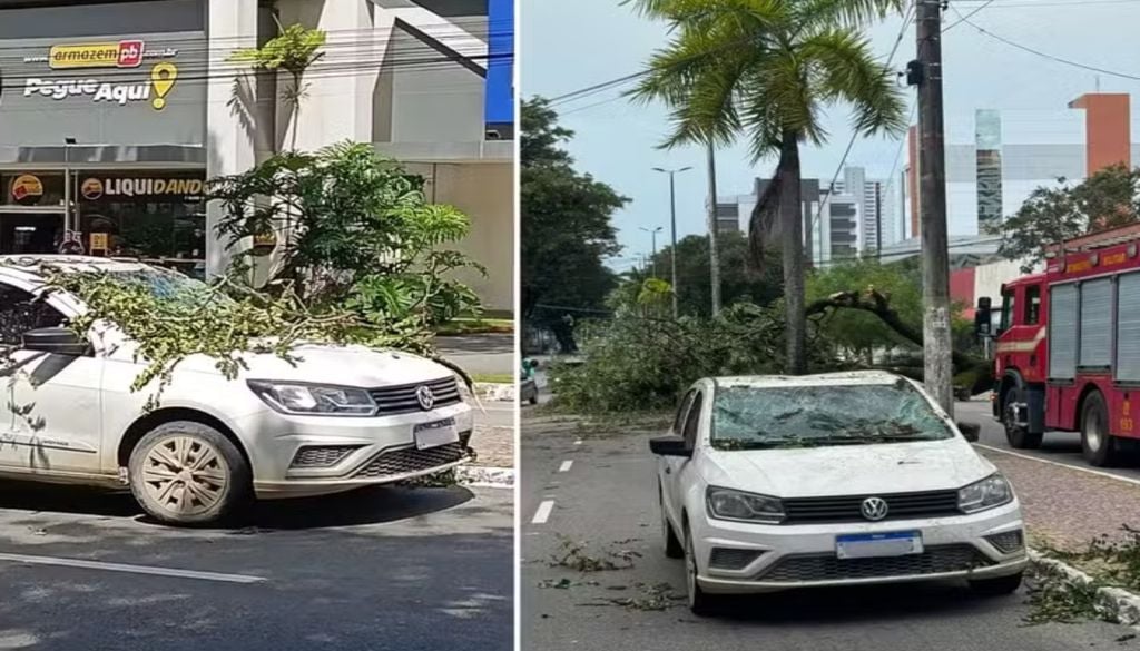 Carro atingido por árvore em João Pessoa, PB — Foto: Karine Tenório/TV Cabo Branco Carro atingido por árvore em João Pessoa, PB — Foto: Karine Tenório/TV Cabo Branco