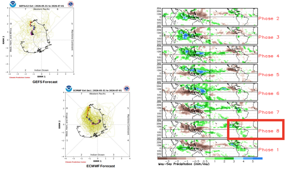 Previsão da MJO segundo o GEFS e o ECMWF (esquerda) e mapa de anomalias de precipitação associadas às fases da MJO, com destaque para a fase 8, entre maio e setembro. Créditos: NOAA/CPC.