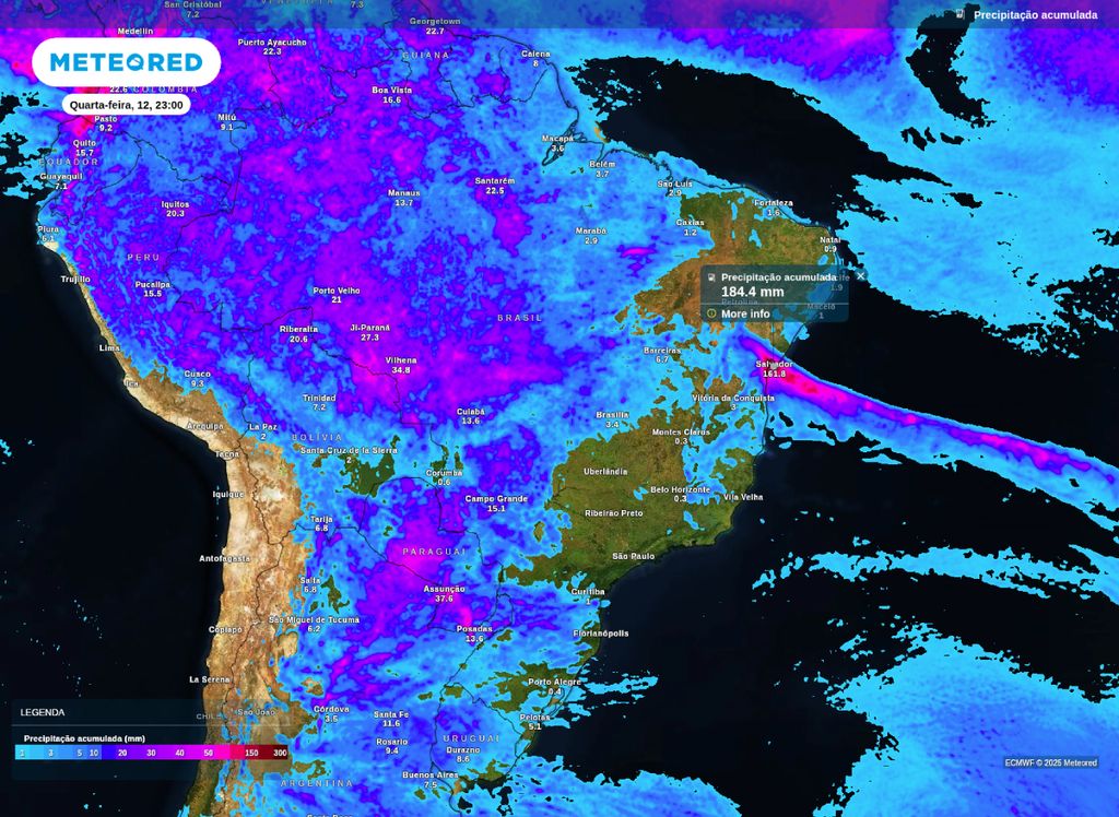 Mapa de precipitação acumulada entre terça (11) e quarta-feira (12), segundo o modelo ECMWF.