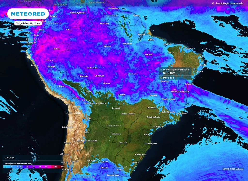 Precipitação acumulada entre hoje (10) e terça-feira (11), segundo o modelo ECMWF.