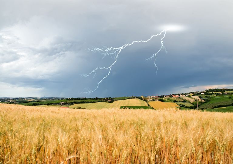 Estiagem no Sul, alerta de temporais Estiagem no Sul, alerta de temporais