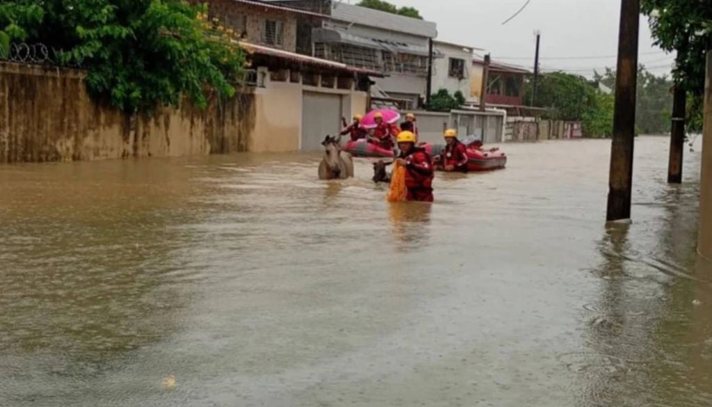 Pernambuco e Paraíba registram mortes, desalojados, desabrigados e danos causados por alagamentos e deslizamentos. Foto: Governo de PE.