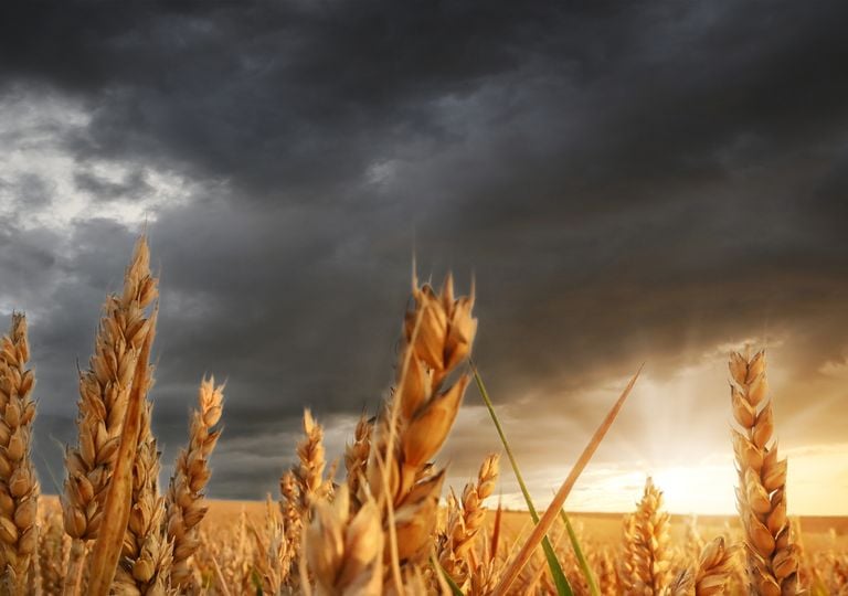 Chuvas e tempestades n&atilde;o d&atilde;o tr&eacute;gua nesta sexta, 19: 17 estados sob alerta; veja a previs&atilde;o